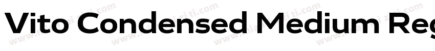 Vito Condensed Medium Regular字体转换